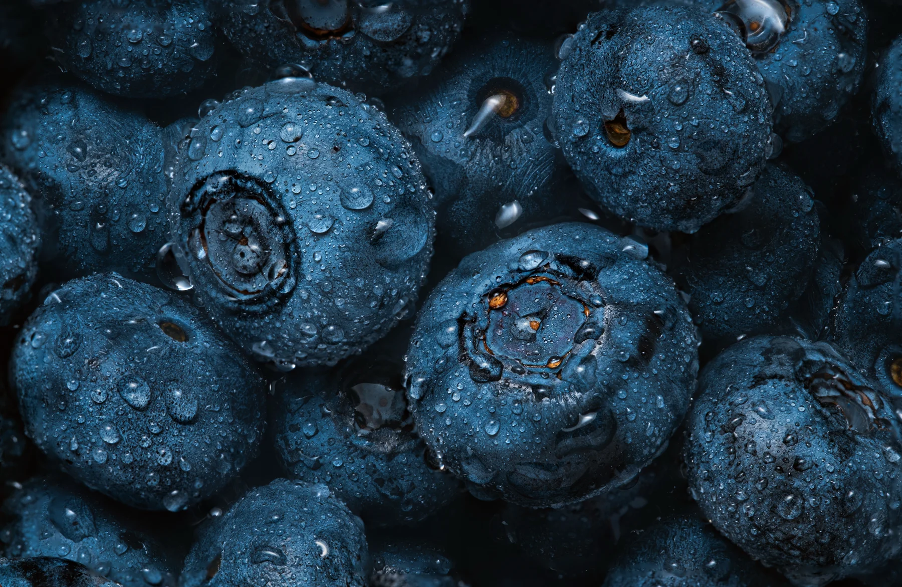 Close-up of blueberries covered in water droplets